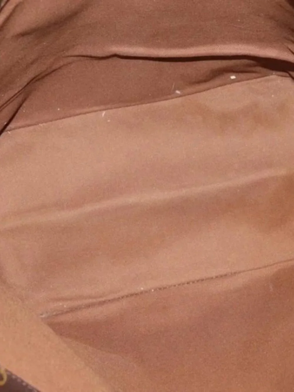 Louis Vuitton brand louis